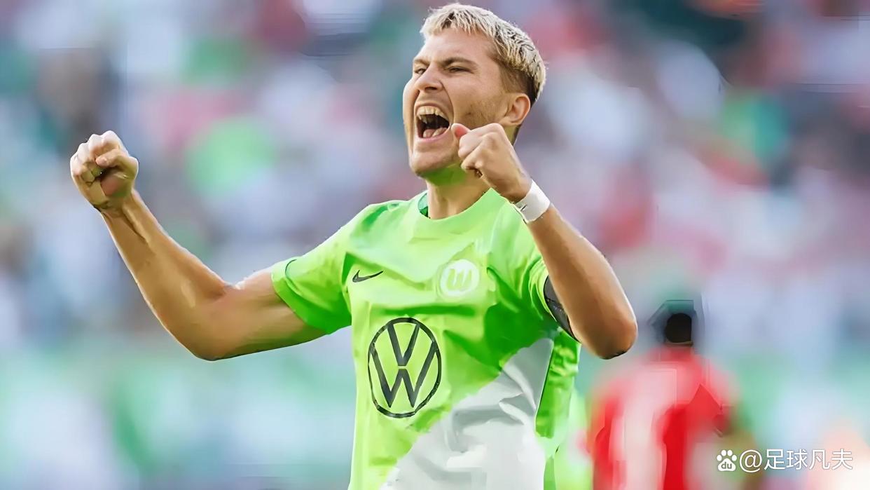 乐鱼-霍芬海姆转入球员